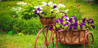 Цветник на даче: советы начинающим садоводам Цветник на даче