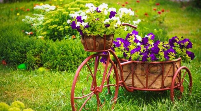 Цветник на даче: советы начинающим садоводам Цветник на даче