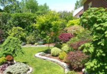 Ландшафтный дизайн дачного участка Ландшафтный дизайн