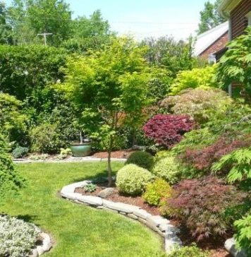 Ландшафтный дизайн дачного участка Ландшафтный дизайн