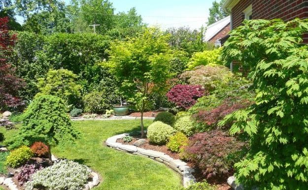 Ландшафтный дизайн дачного участка Ландшафтный дизайн